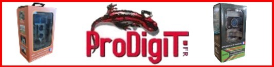 ProDigiT
